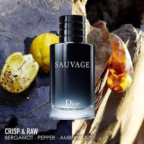 nach was riecht dior sauvage|Sauvage Dior Cologne .